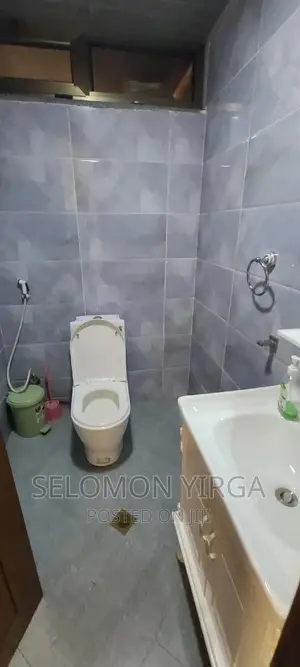 Furnished 3bdrm Apartment in Adis Ababa, Bole for rent