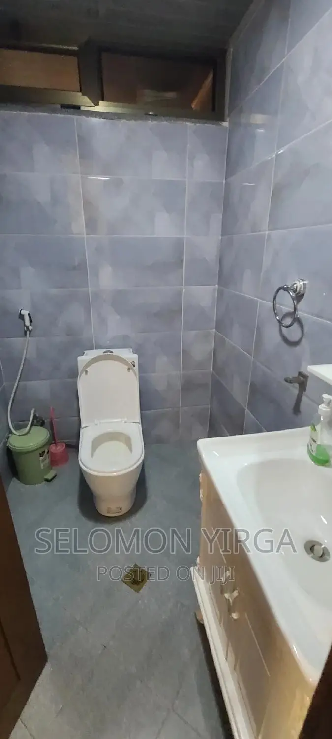 Furnished 3bdrm Apartment in Adis Ababa, Bole for rent