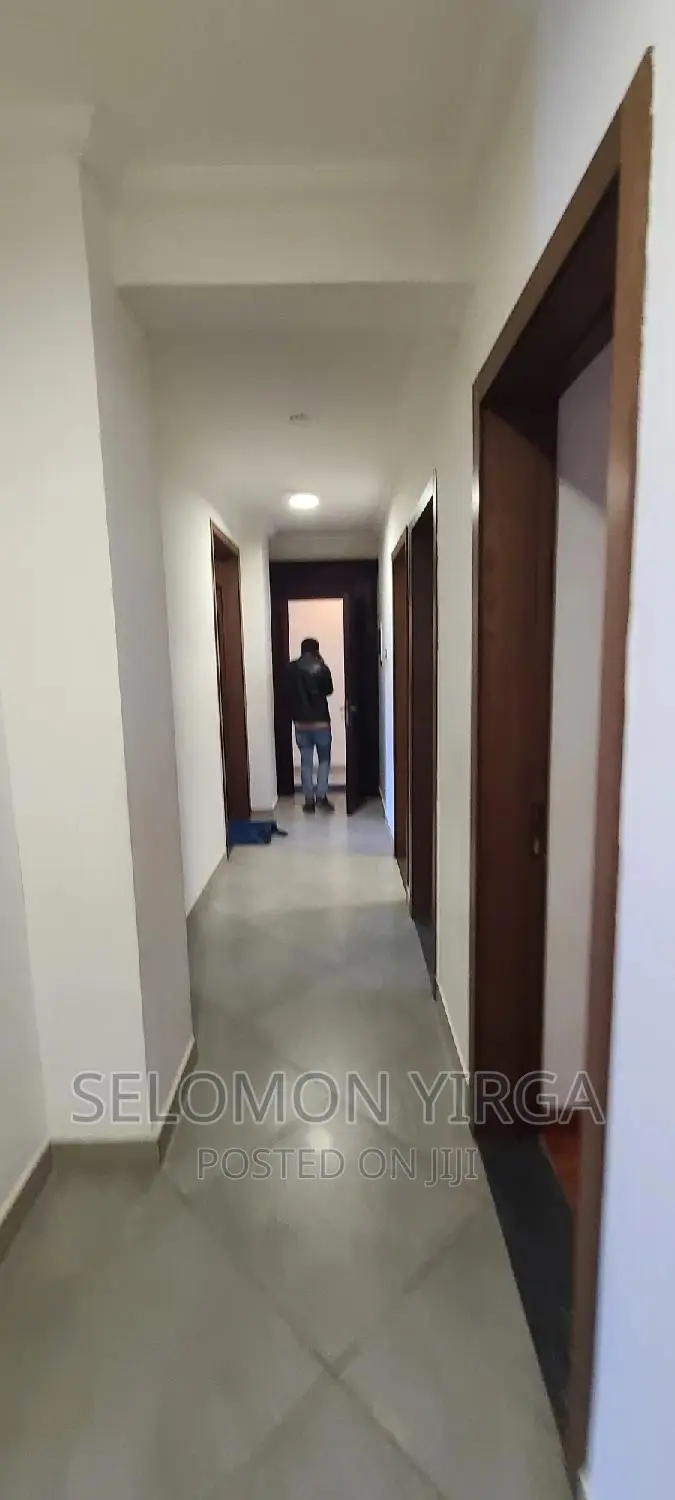 Furnished 3bdrm Apartment in Adis Ababa, Bole for rent