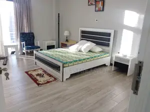 Furnished 3bdrm Apartment in Bole for rent