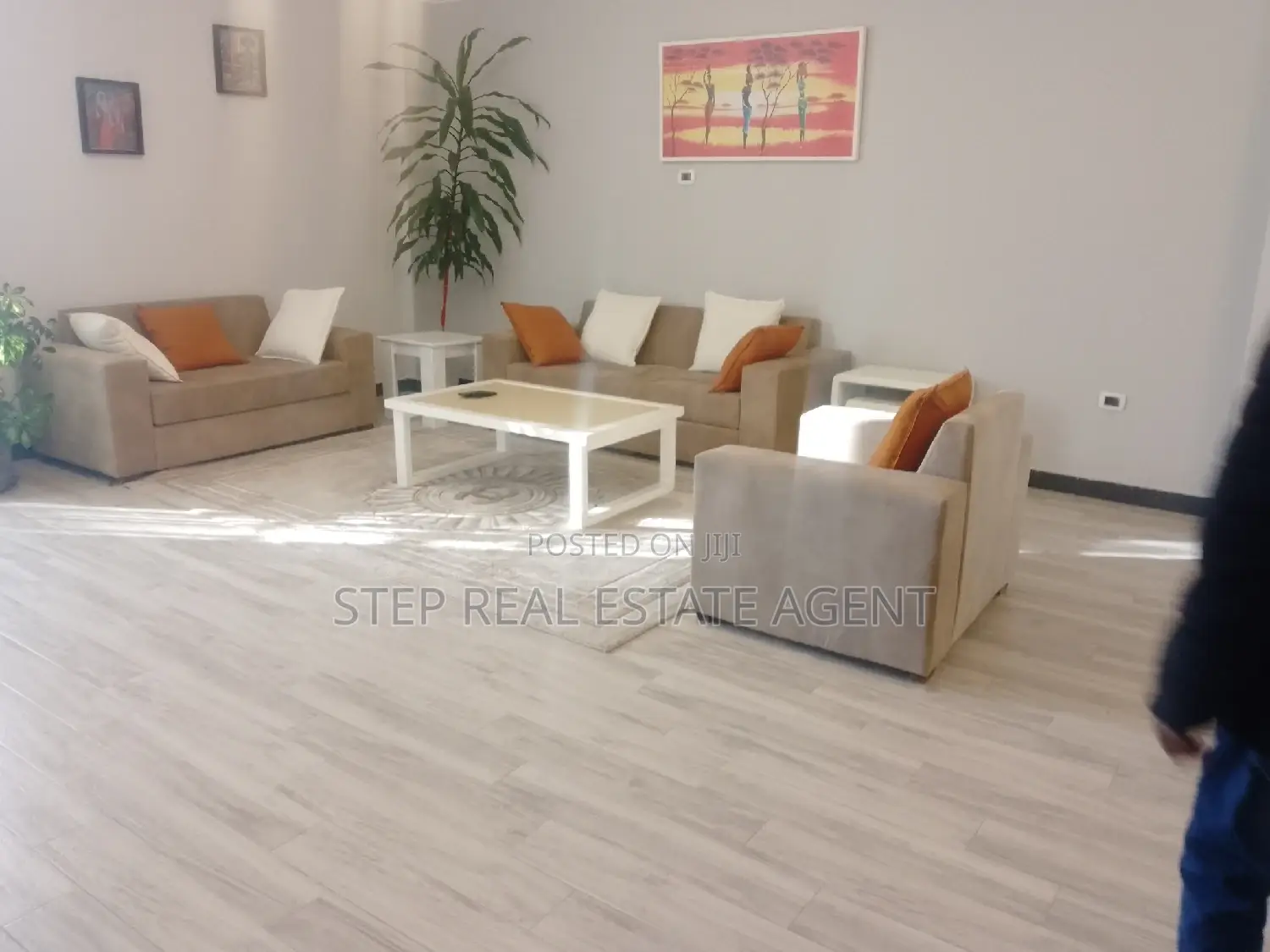 Furnished 3bdrm Apartment in Bole for rent