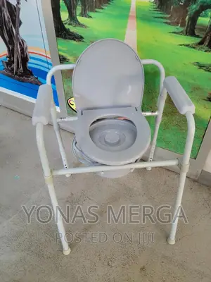 Toilet Chair for Easy Toilet Use and Carrying in Less Space