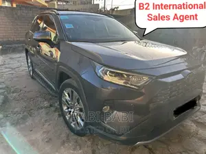 Toyota RAV4 2020 Gray