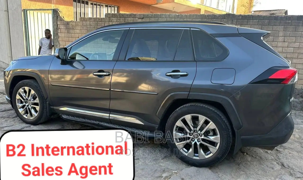 Toyota RAV4 2020 Gray