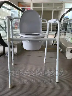 WYCD Commode Toilet Chair - Bedside Commode Potty Chair