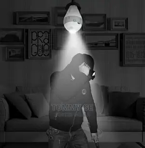 Wireless IP Camera WIFI 360 Degree