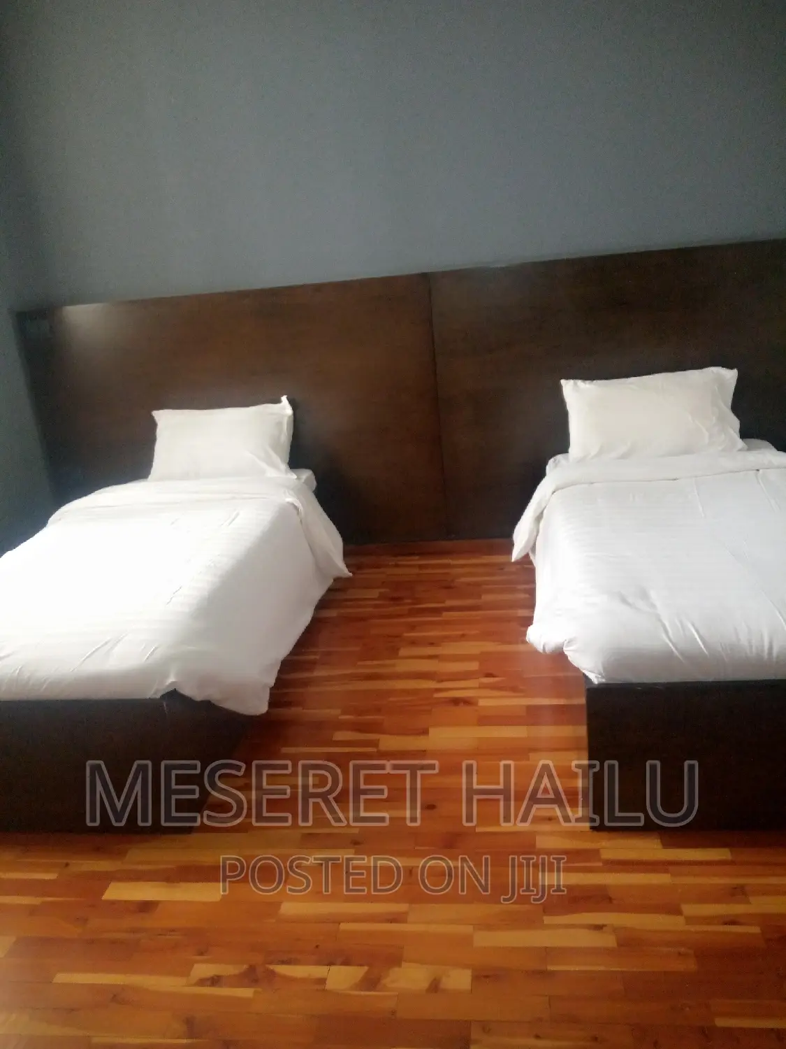 Furnished 2bdrm Apartment in Bole for rent