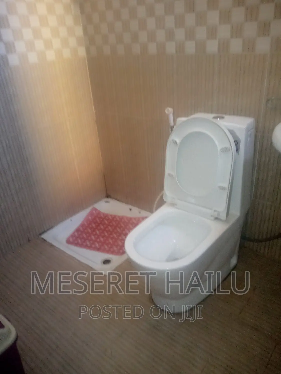 Furnished 1bdrm Apartment in Bole for rent