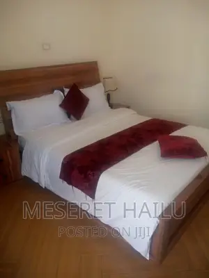 Furnished 1bdrm Apartment in Bole for rent