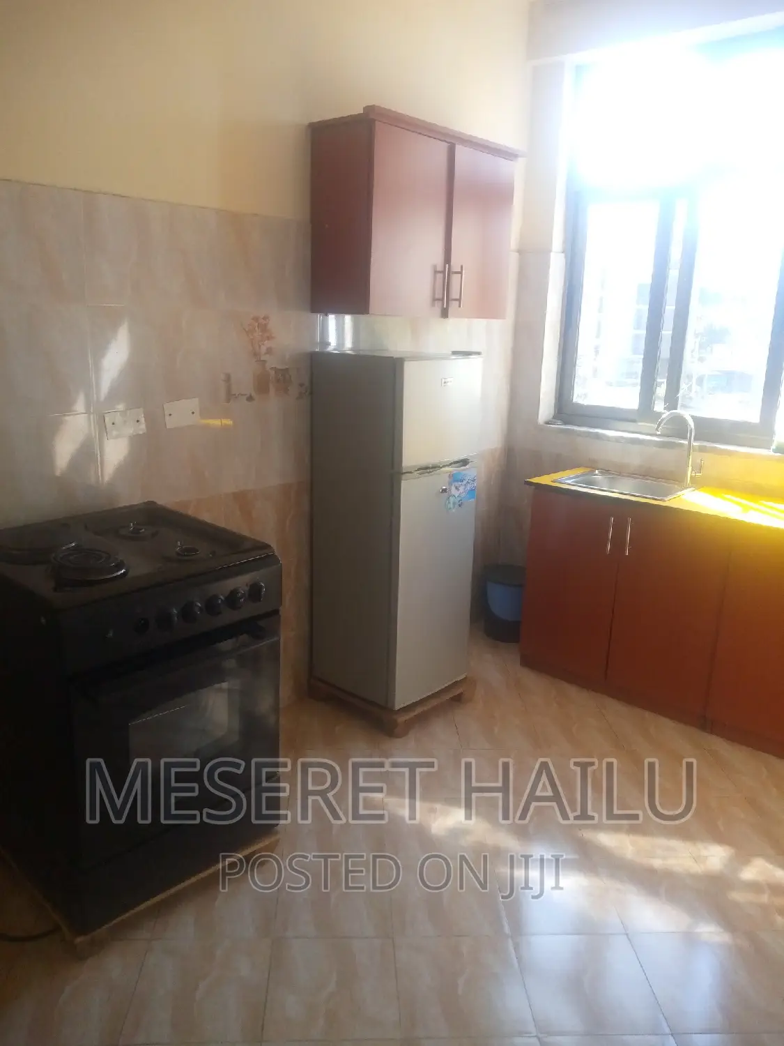 Furnished 1bdrm Apartment in Bole for rent