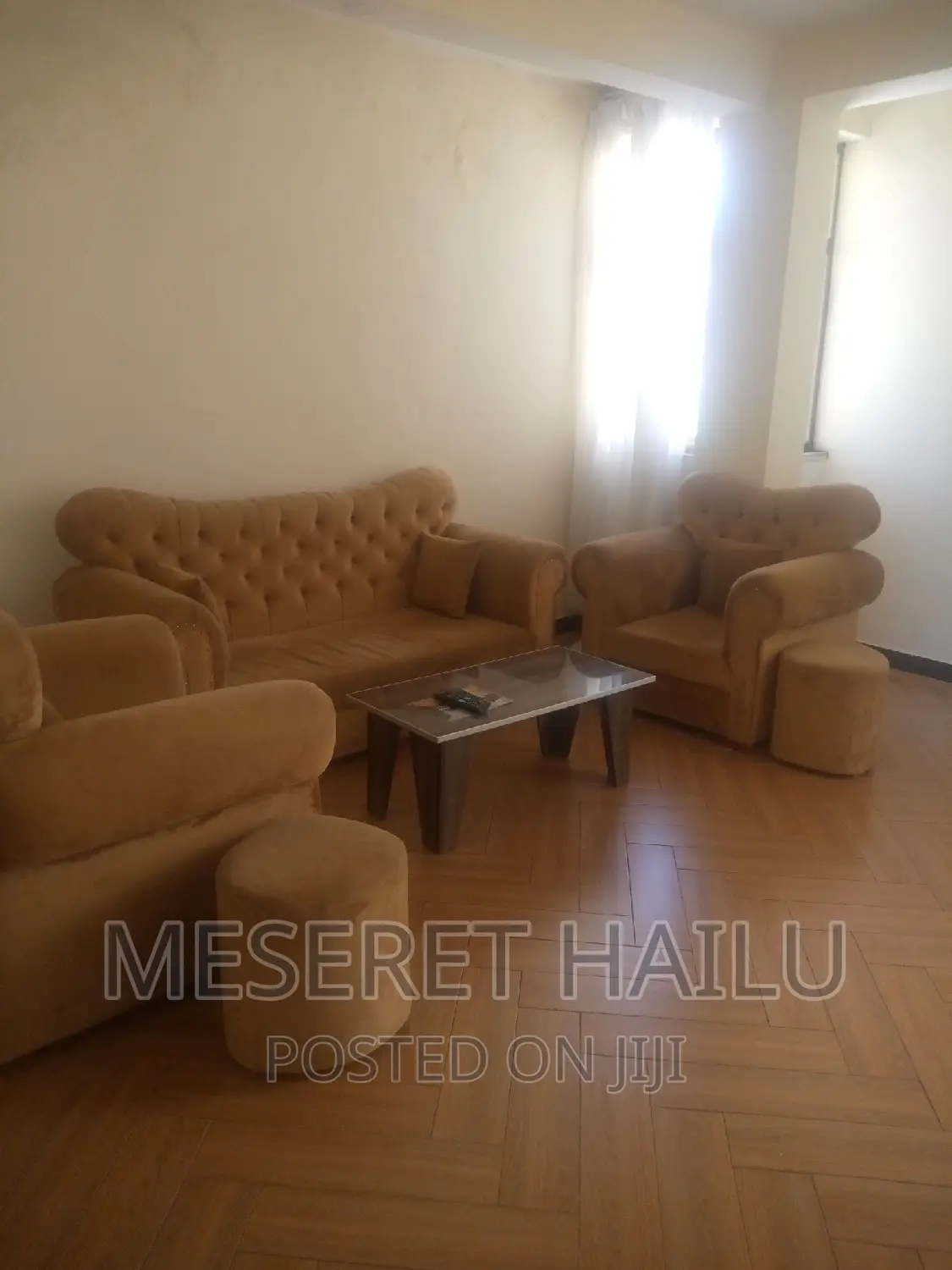 Furnished 1bdrm Apartment in Bole for rent