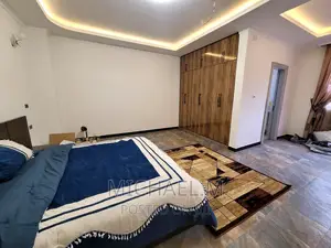 Furnished 2bdrm Apartment in Biruk Real Estate, Arada for sale