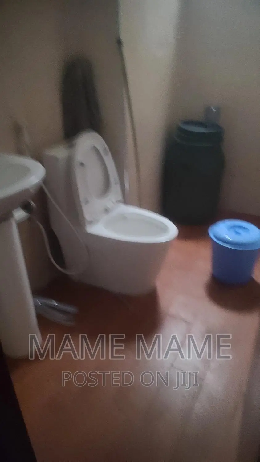 Furnished 1bdrm Apartment in Addis Abeba, Bole for rent