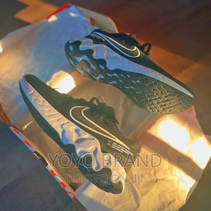 Nike Renew Ride 2 Running Shoes