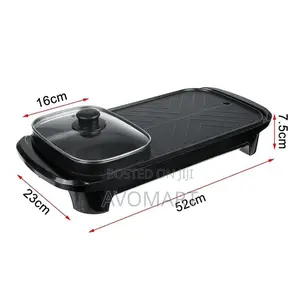 Electric Grill and Pot