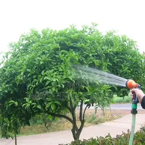 Smart Water Spray Gun
