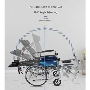Sleeping Wheelchair|EZYLIFE Home Reclining Wheelchair/