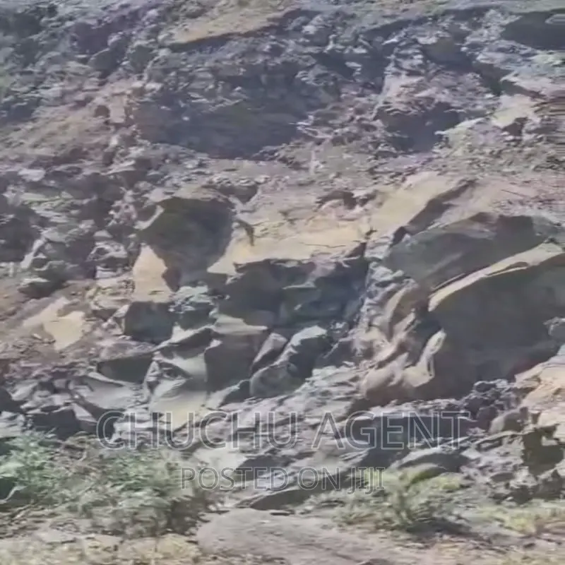 Charcoal Site Sale ድንጋይ ከሰል ማምረቻ ቦታ ሽያጭ Crashers Land Sale