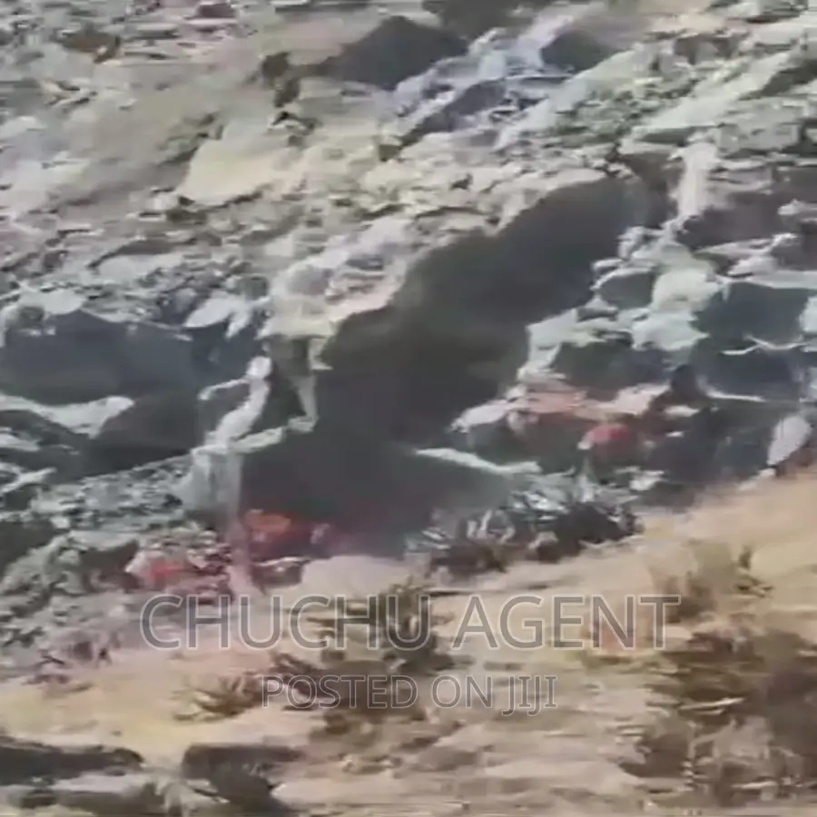 Charcoal Site Sale ድንጋይ ከሰል ማምረቻ ቦታ ሽያጭ Crashers Land Sale