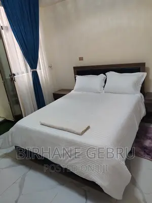 Furnished 2bdrm Apartment in Apartiment, Bole for rent