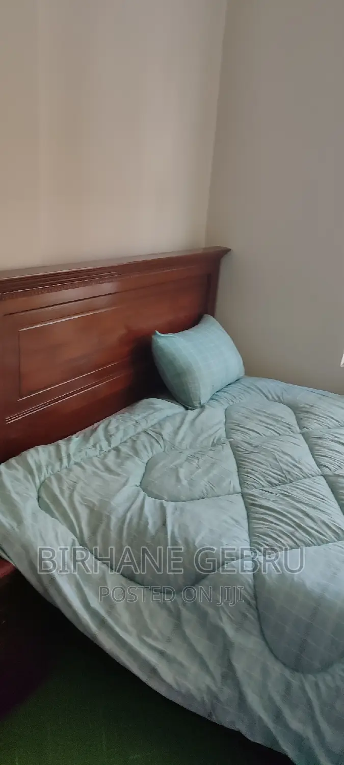 Furnished 2bdrm Apartment in Apartimen, Bole for rent