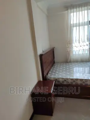 Furnished 2bdrm Apartment in Apartimen, Bole for rent