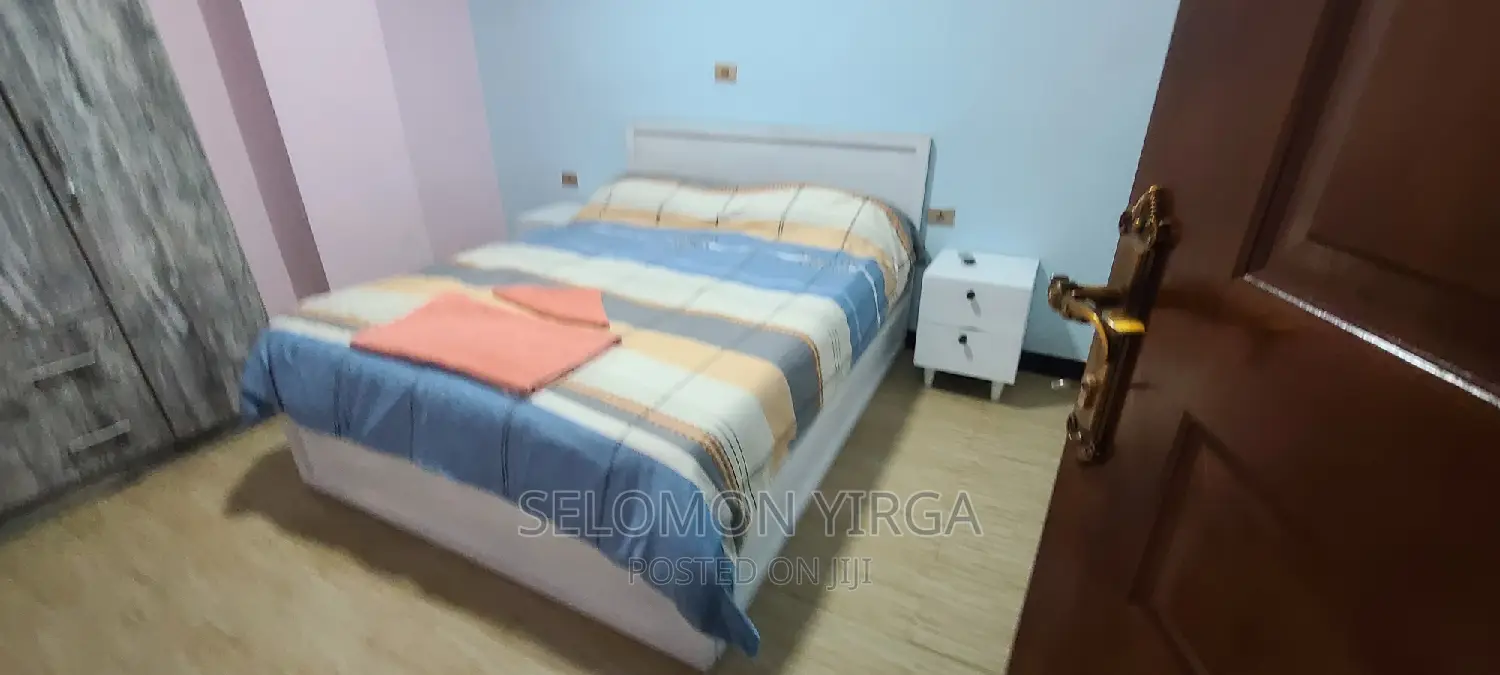 Furnished 1bdrm Apartment in Adis Ababa, Bole for rent