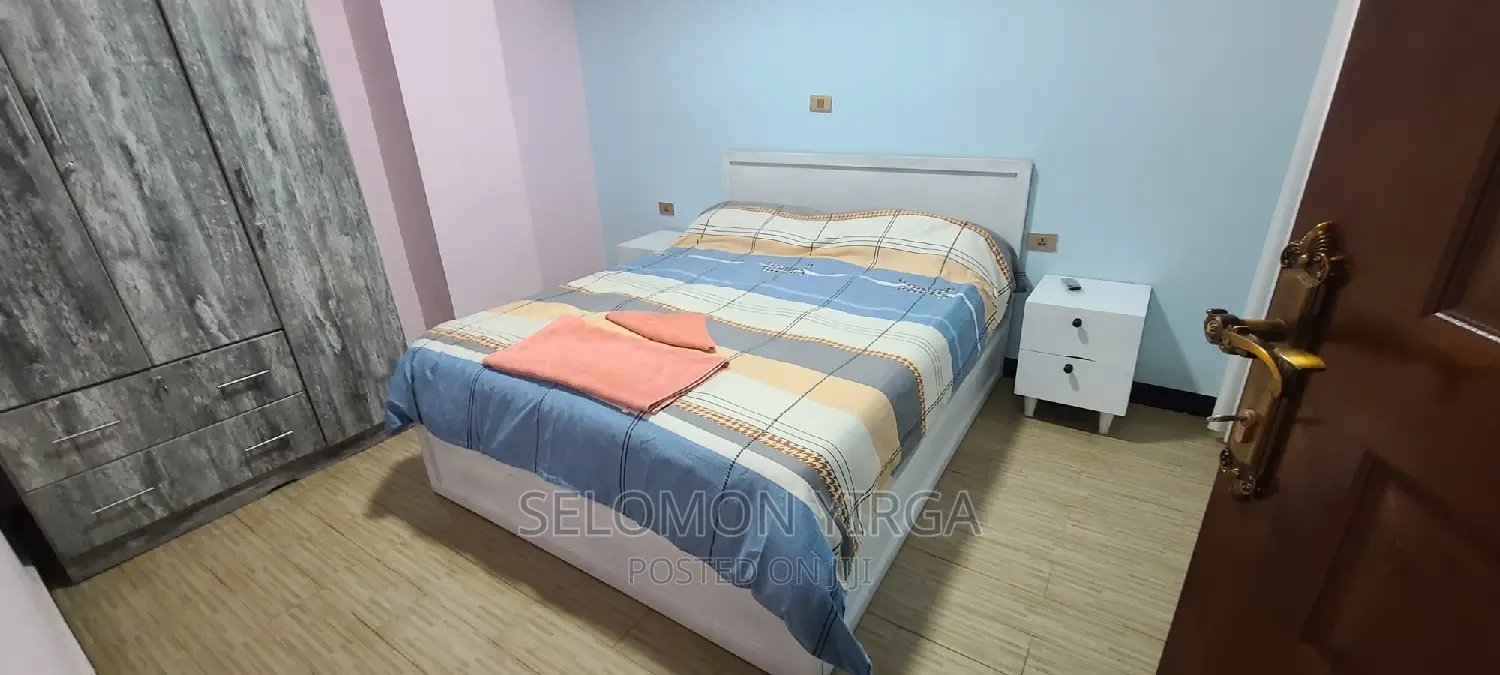 Furnished 1bdrm Apartment in Adis Ababa, Bole for rent