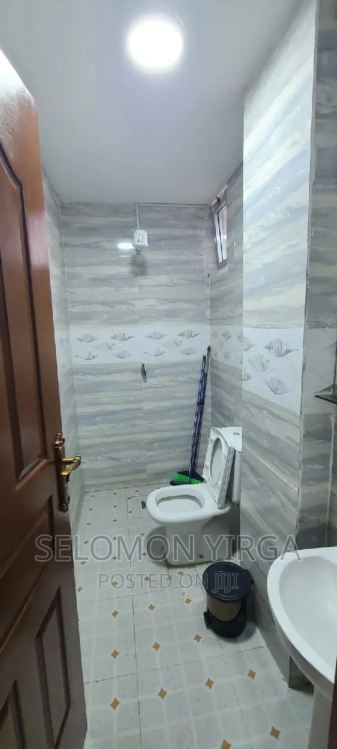 Furnished 1bdrm Apartment in Adis Ababa, Bole for rent