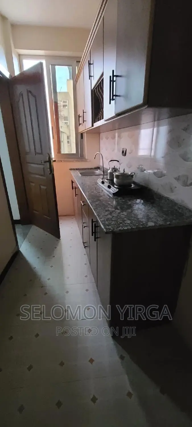 Furnished 1bdrm Apartment in Adis Ababa, Bole for rent