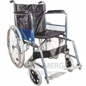 Wheelchair_general Wheelchair Self Propelling/Attendant Type