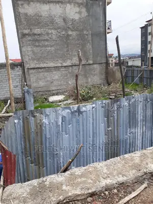 Photo - Yemeshet Gegawe Karta Yalew Bota