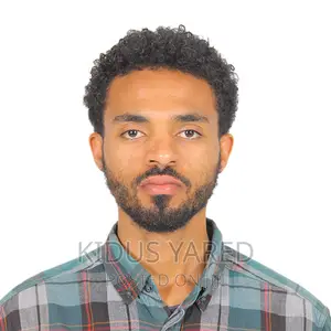 Photo - Driver in Addis