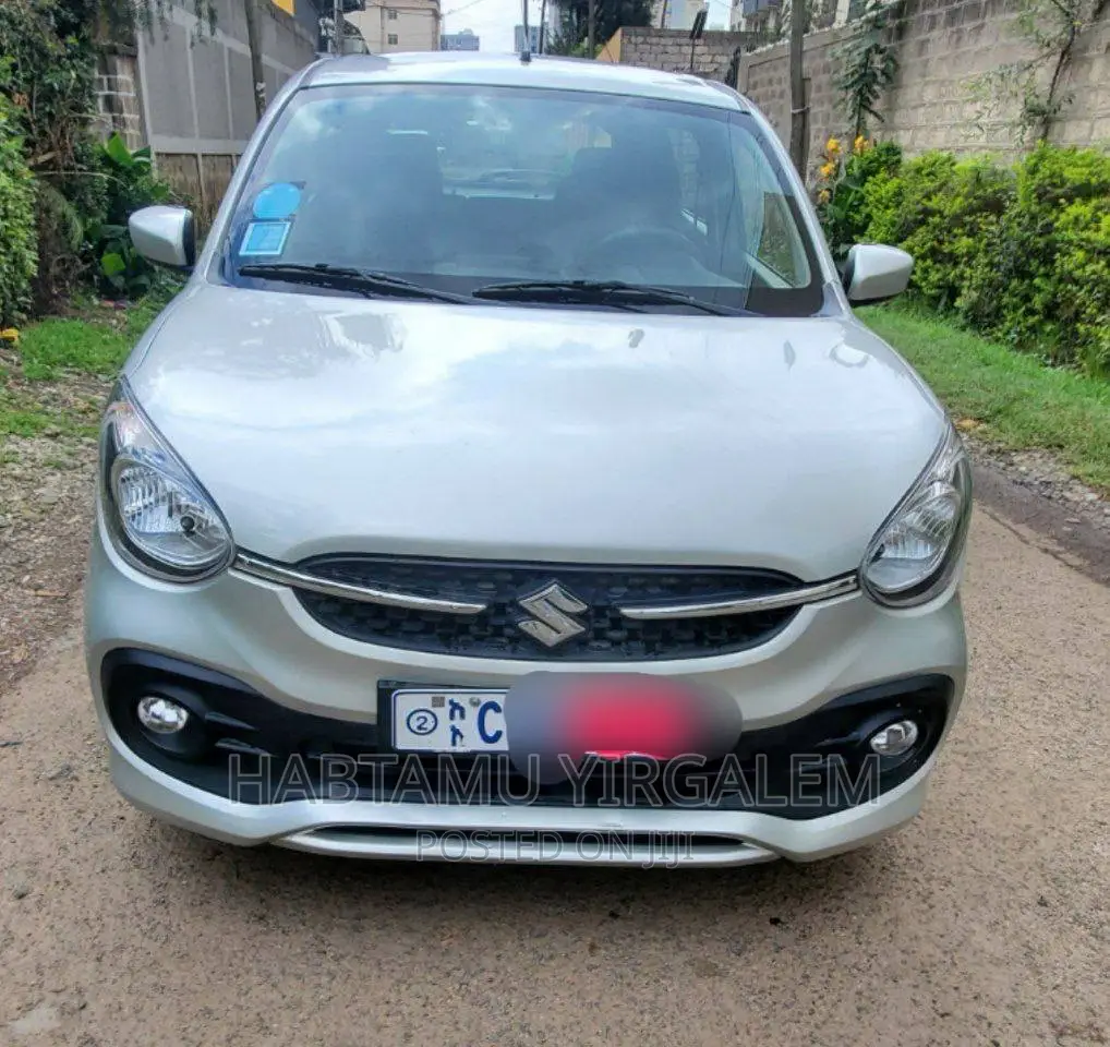 Suzuki Celerio 2019 Silver