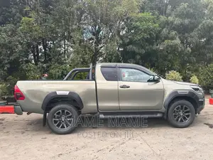Toyota Hilux Surf 2009 Gray