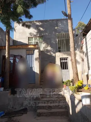 Photo - Furnished 2bdrm House in Yeka Kollejii for sale