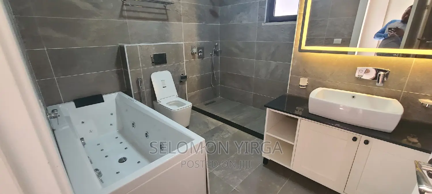 4bdrm Penthouse in Adis Abba, Bole for sale