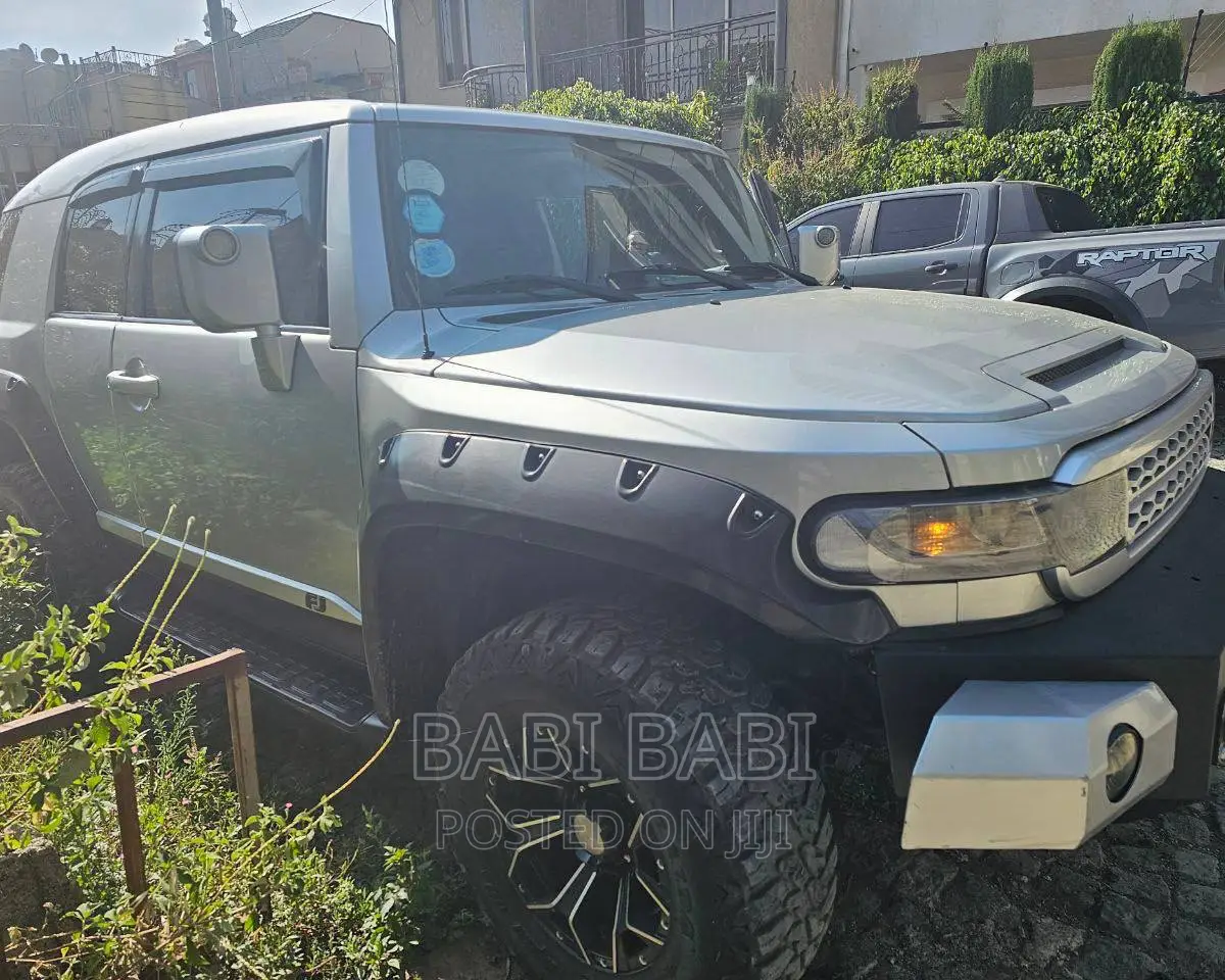 Toyota FJ Cruiser 2010 Silver
