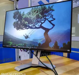 Dell Frameless Monitor