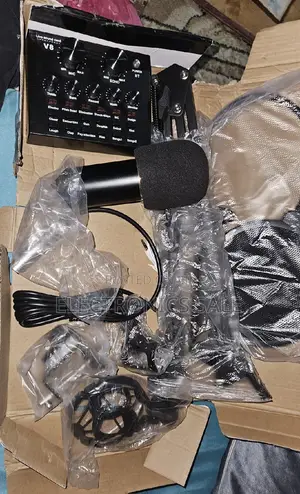 Professional Condenser Microphone With Stand