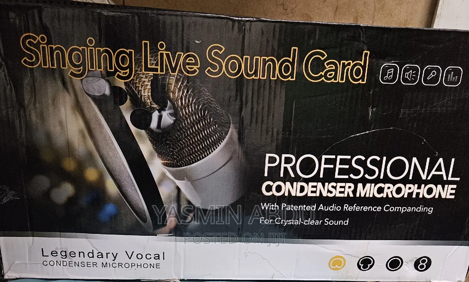 Professional Condenser Microphone With Stand