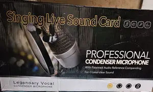 Professional Condenser Microphone With Stand