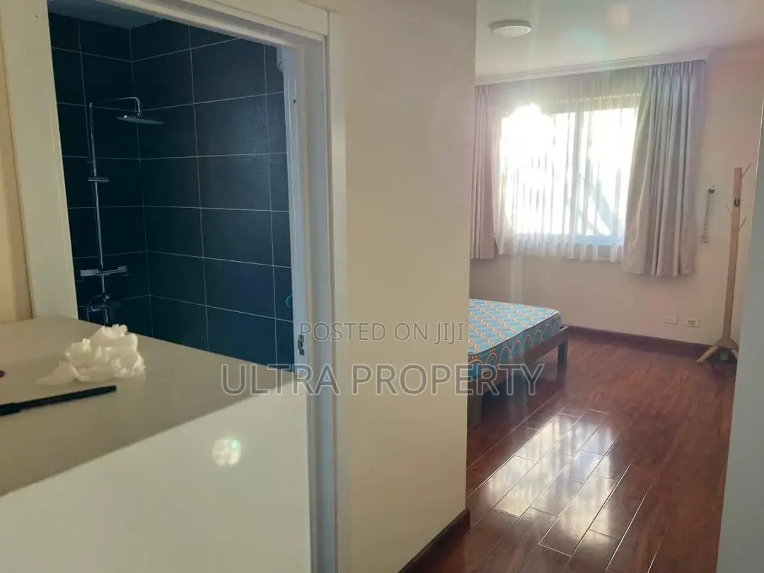 Furnished 3bdrm Apartment in Bole for rent