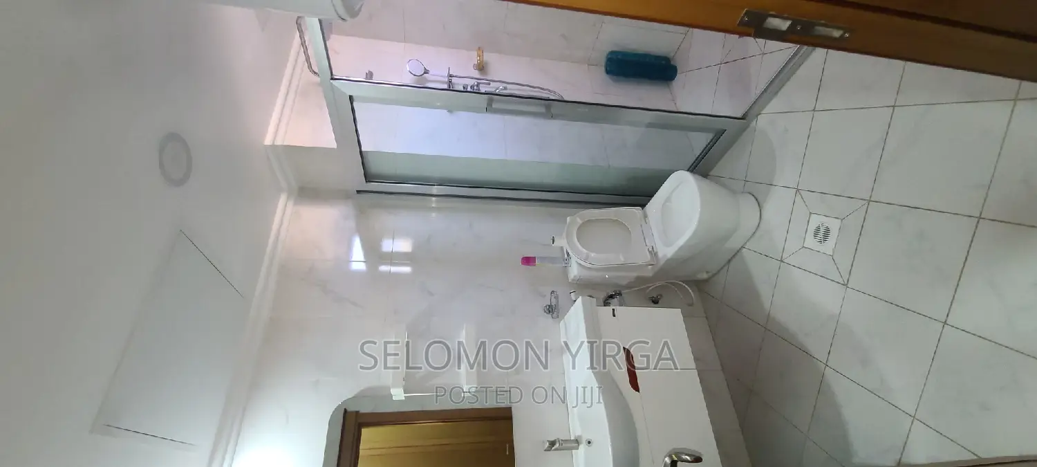 Furnished 4bdrm Apartment in Adis Abba, Bole for rent