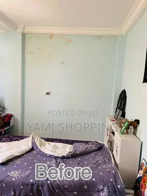 የልጆችዎን ክፍል በዚህ መልኩ ያስውቡ
 የግድግዳ ስቲከሮች