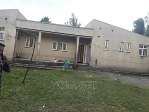 Furnished 5bdrm House in አስቸካይ የሚሸጥ ቤት, Akaky Kaliti for sale