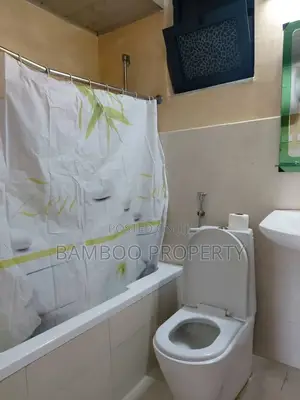 Furnished 2bdrm Apartment in Bole for rent