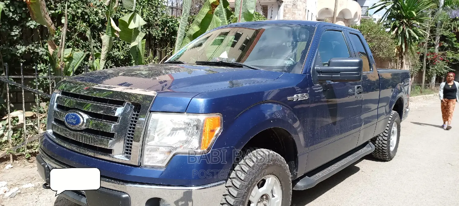 Ford F-150 2012 Blue