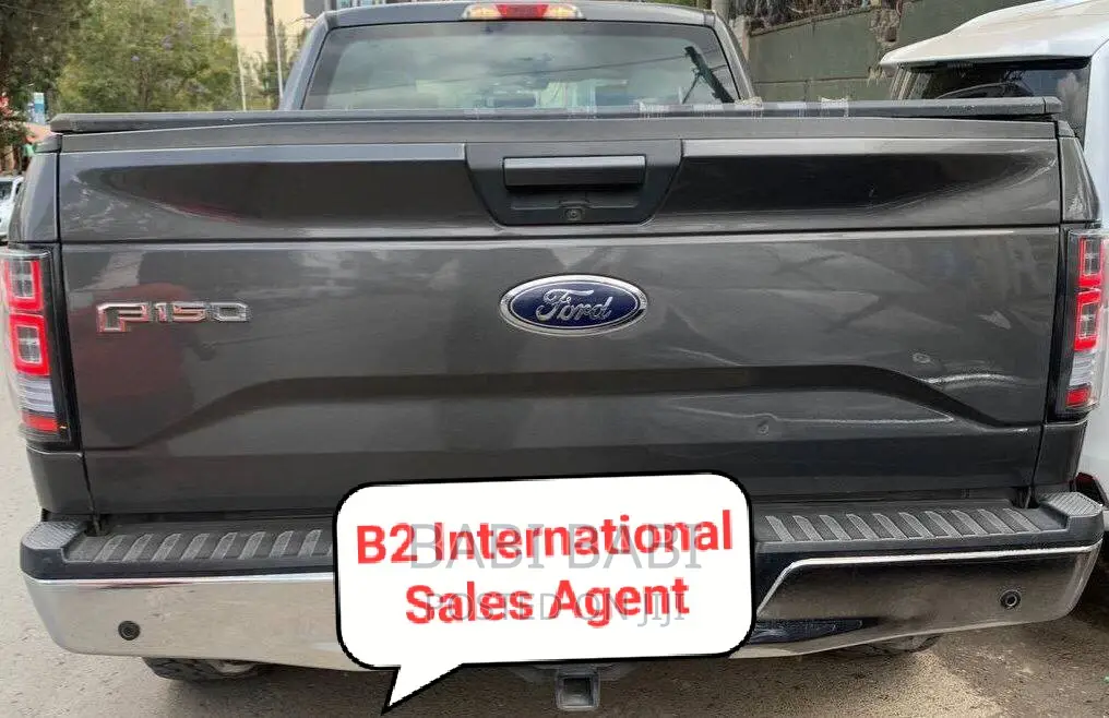 Ford F-150 2017 Gray