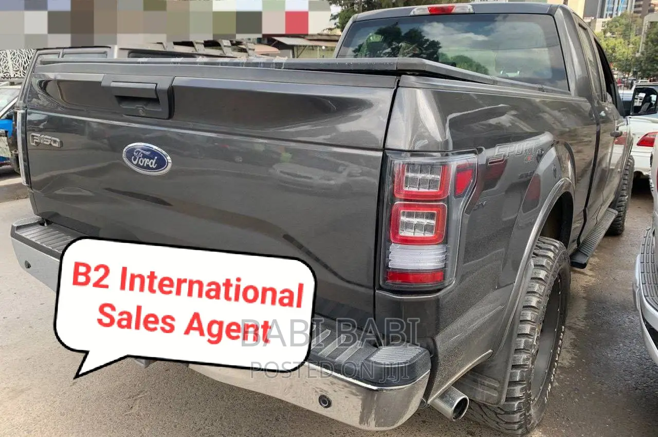 Ford F-150 2017 Gray